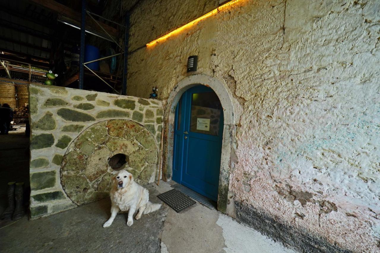Room In Farmhouse Berkel Bockholtz Exterior foto